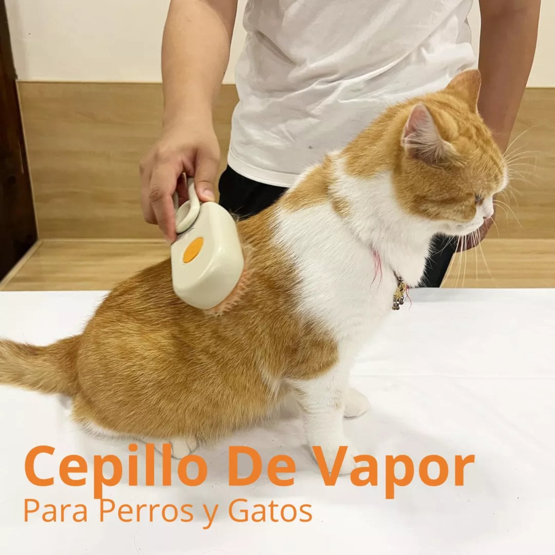 𝐅𝐮𝐫𝐅𝐫𝐞𝐬𝐡 𝐒𝐭𝐞𝐚𝐦™ - Cepillo Para Mascotas A Vapor Recargable - Moisblood