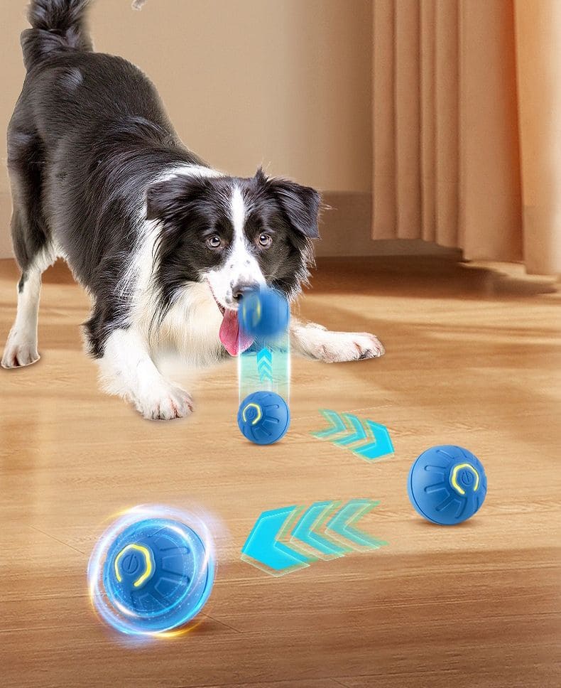 𝐏𝐚𝐰𝐏𝐥𝐚𝐲 𝐈𝐐™ - Pelota Inteligente para perros y gatos - Moisblood