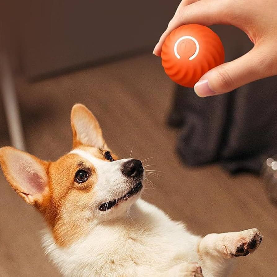 𝐏𝐚𝐰𝐏𝐥𝐚𝐲 𝐈𝐐™ - Pelota Inteligente para perros y gatos - Moisblood